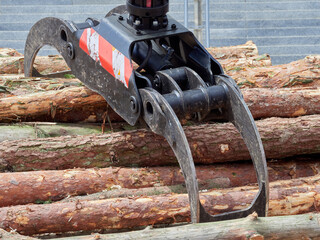 Hydraulic log gripper in logging