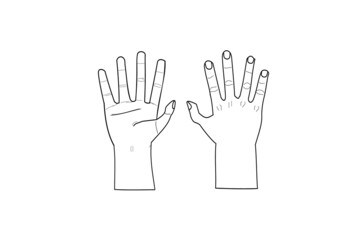 vector drawing, men's hands in position different ,upside down and turn up, on white background