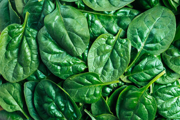Top view of fresh spinach leaves background.