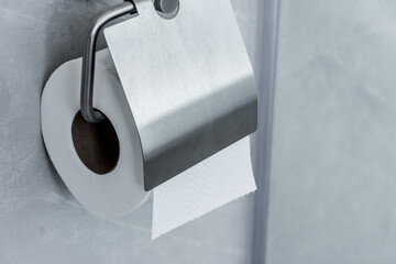 roll of toilet paper stuck on the wall