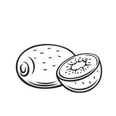 Kiwi fruit outline vector icon, drawing monochrome illustration. Healthy nutrition, organic food, vegetarian product.