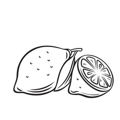 Lemon fruit outline vector icon, drawing monochrome illustration. Healthy nutrition, organic food, vegetarian product.