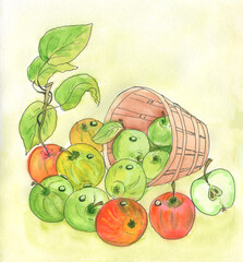 Watercolor illustration of a summer fruit on a branch with foliage, apple,food in a basket., ripe, juicy, red, berry, still life.A basket full of fresh fruit and vegetables watercolor illustration.
