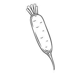 Daikon vegetable outline vector icon, drawing monochrome illustration. Healthy nutrition, organic food, vegetarian product.