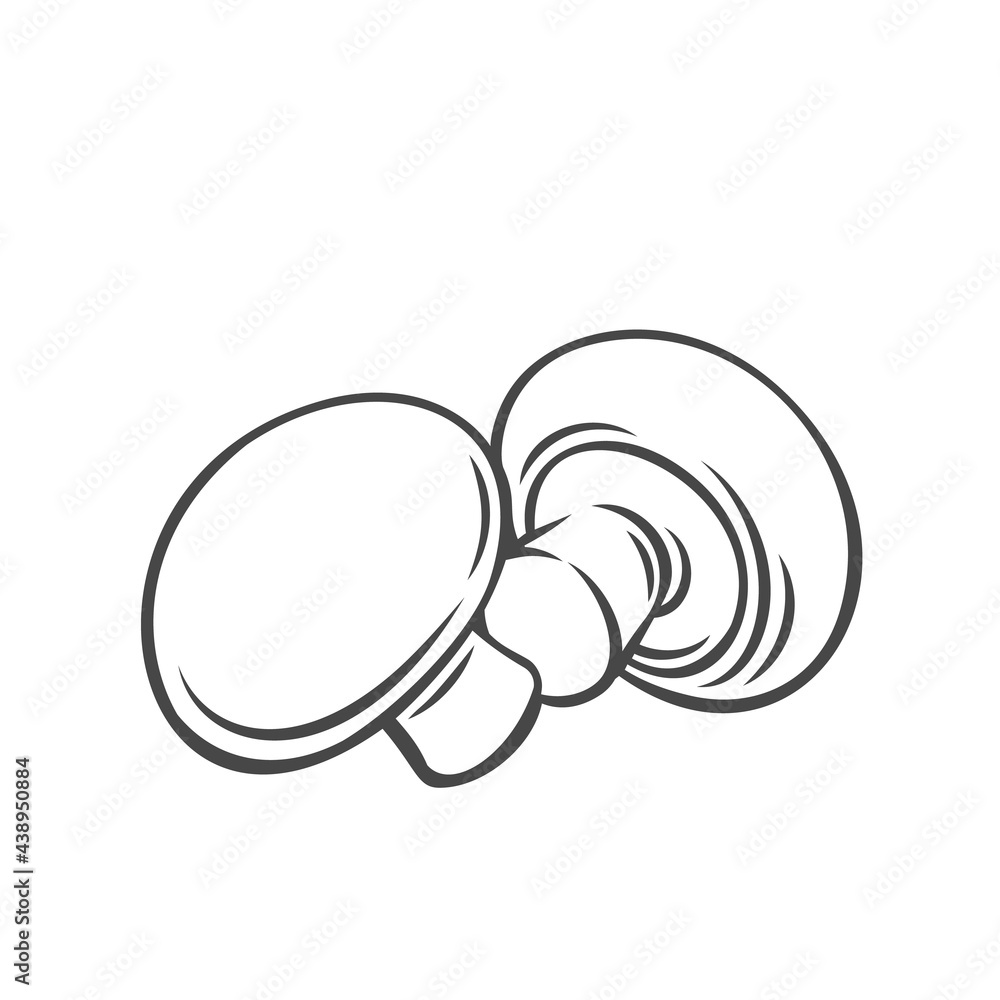 Wall mural champignon mushrooms vegetable outline vector icon, drawing monochrome illustration. healthy nutriti