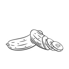 Vector cucumber. Farm vegetable outline icon, drawing monochrome illustration. Healthy nutrition, organic food, vegetarian product.