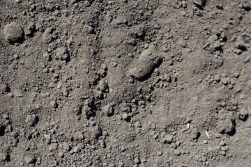 Land photo close-up for texture, background black fertile land