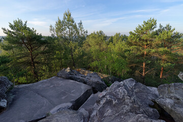 Sacred symbols engraved on  sandstone rock in the Fontainebleau forest