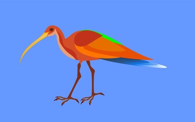 Colored vivid bird flat vector illustration