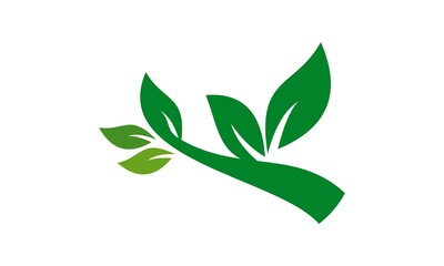 leaf nature tree logo