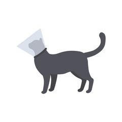 Cat with a cone or a protective collar, a vector