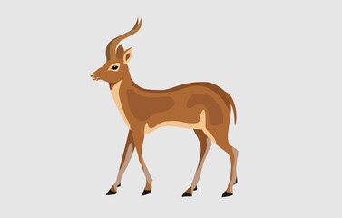 Antilope flar style vector illustration