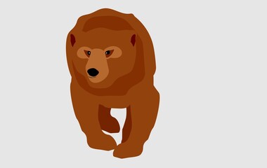 Walking brown bear. flat style vector illustration isolated on white background