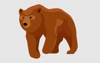 Fototapeta na wymiar Walking brown bear. flat style vector illustration isolated on white background