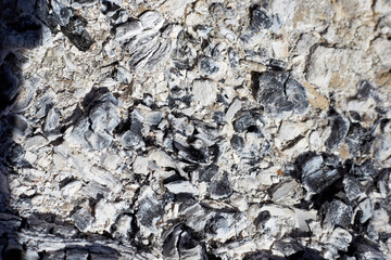 Gray ash from the oven background texture, cinder, grey ashes from the wood from the fireplace