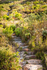 Obraz premium Dirt Track hiking paths on top of a mountain by the coast