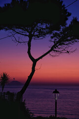 Luce