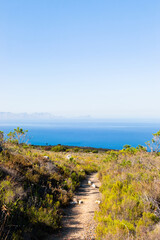 Dirt Track hiking paths on top of a mountain by the coast