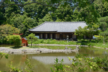 Obraz premium 浄瑠璃寺 庭園と本堂 京都府木津川市