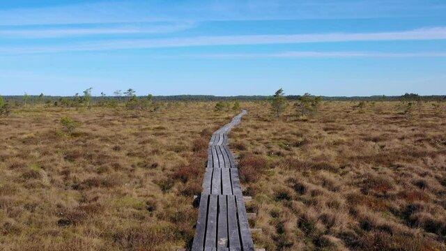Moving along footbridge through peat bog