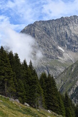 Alpen