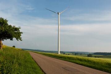 Lonely path at a barley field. Wind turbine from behind against a blue cloudy sky. Half tree in the...