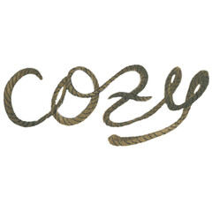 Vintage cozy home in soft light. Scandinavian cozy home decor. Modern living room interior design. Flowers in pots. Beige colors.