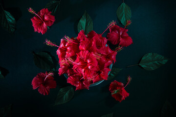 Red Hibiscus Flower and leaf, Red Hibiscus flower in steel pot, Chembarathi flower, top view photography, Red Hibiscus Flower and leaf in dark background, Light and shade photography