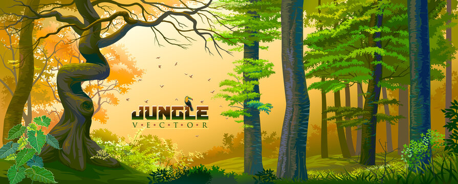 Amazon Jungle Background Images Browse 21 859 Stock Photos Vectors And Video Adobe Stock Amazon Jungle Background Images Browse 21 859 Stock Photos Vectors And Video Adobe Stock
