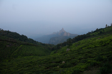 View of rangaswamy peek and kodanadu tea estate in the evening. clouds passing or touching top of the peek or mountain in kodanadu