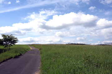 Fototapeta premium 高原