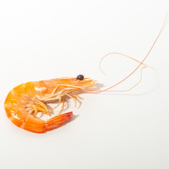 A shrimp is isolated in the white background.