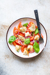panzanella tomato salad veggie croutons, olive oil, rusk vegetable healthy food meal snack copy space food background keto or paleo diet