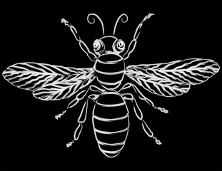 Vector contour drawing of silhouette decorative cartoon fly