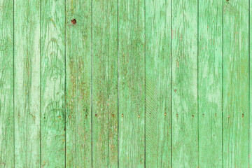 Weathered green barn wall. Old bright green vertical wooden plank with painted nails. Aged green fence. Vintage unevenly painted green chipboard floor. Retro green timber railing © Evelyn