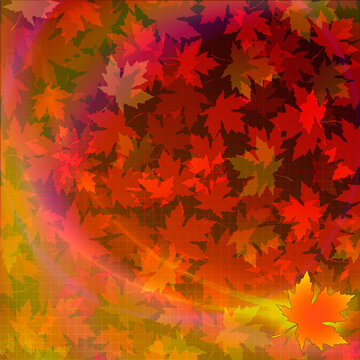 Autumn fall background with red maple leaves.