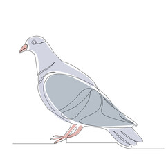 dove gray one continuous line drawing, vector, isolated