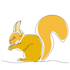 squirrel drawing by one continuous line, vector, isolated