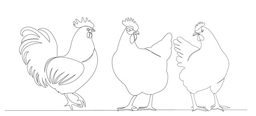 Fototapeta na wymiar hen and rooster one continuous line drawing, vector, isolated