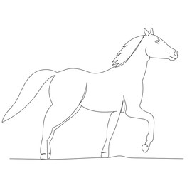Plakat horse drawing by one continuous line, vector
