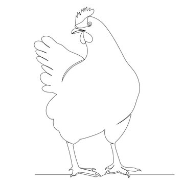 recommend clip art: chicken drawing by one continuous line, vector, isolated