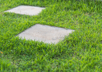 Pavement slabs , concrete squares on the lawn