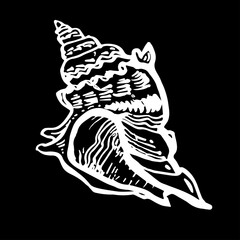 Hand drawn vector graphic with seashell in wild line style of white ink on black background. Doodle freehand sketch design element for logo, poster, postcards. 