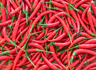 .Background image of red hot chili pepper
