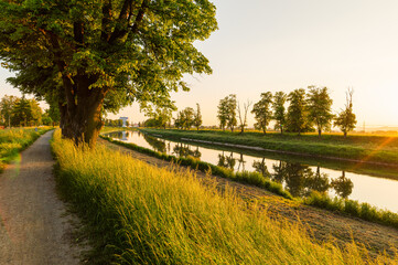 Fototapeta na wymiar Procházka u řeky, river Morava