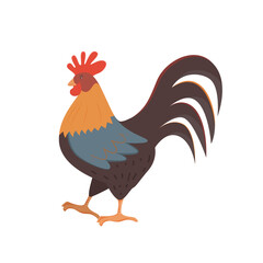 Cute brown rooster isolated on white transparent background.