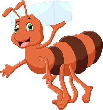 cartoon cute ant carrying sugar on white background