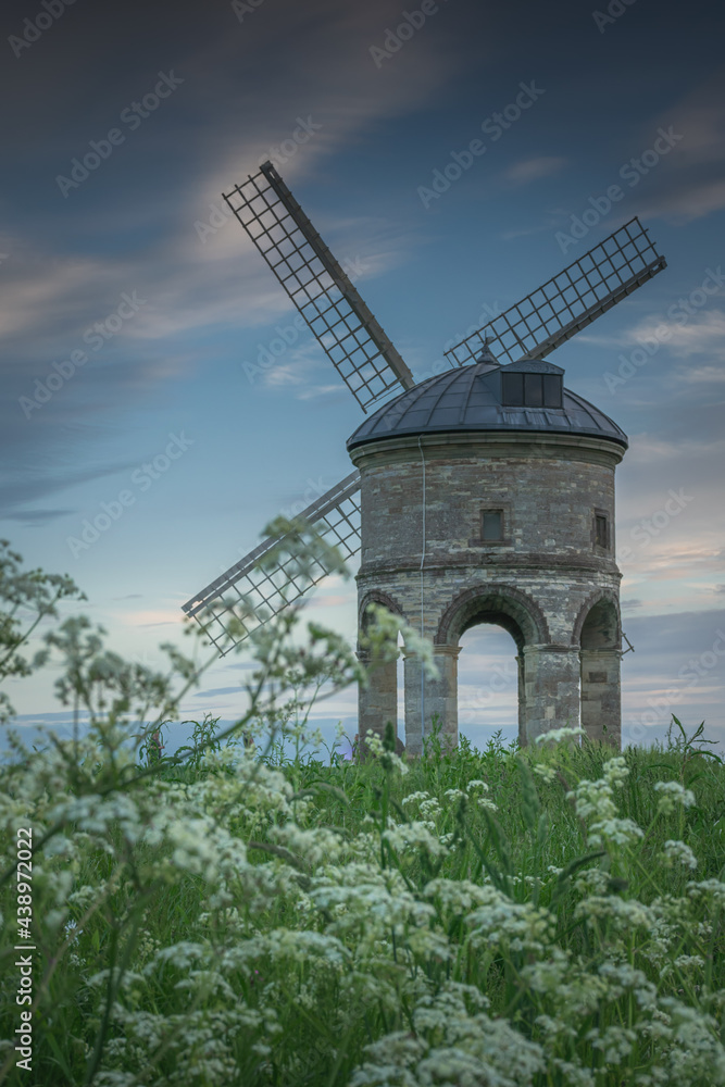 Wall mural chesterton windmill in floral meadow (portrait)