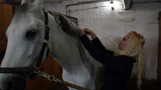 blonde woman is grooming white horse in stable, caring about her animal, young jockey