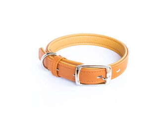 brown leather dog collar silver buckle isolated on white background.